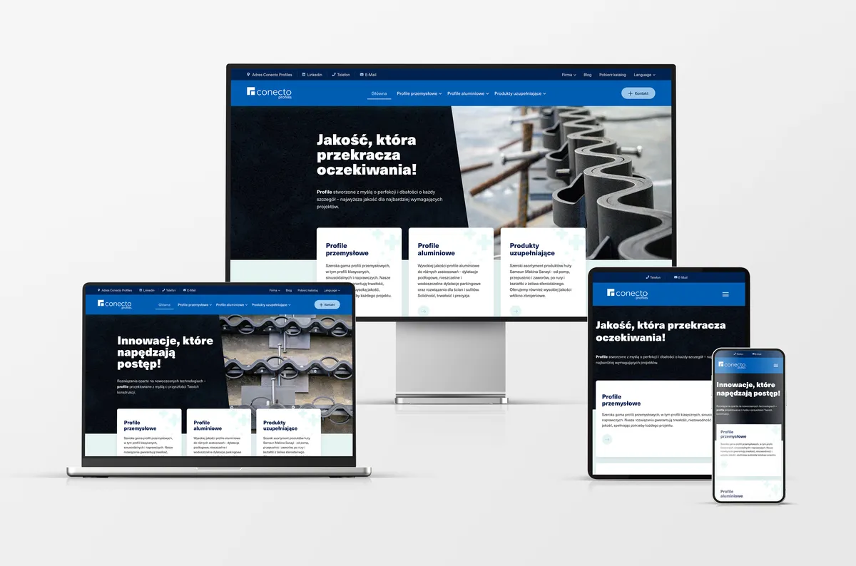 Strona internetowa dla Conecto Profiles