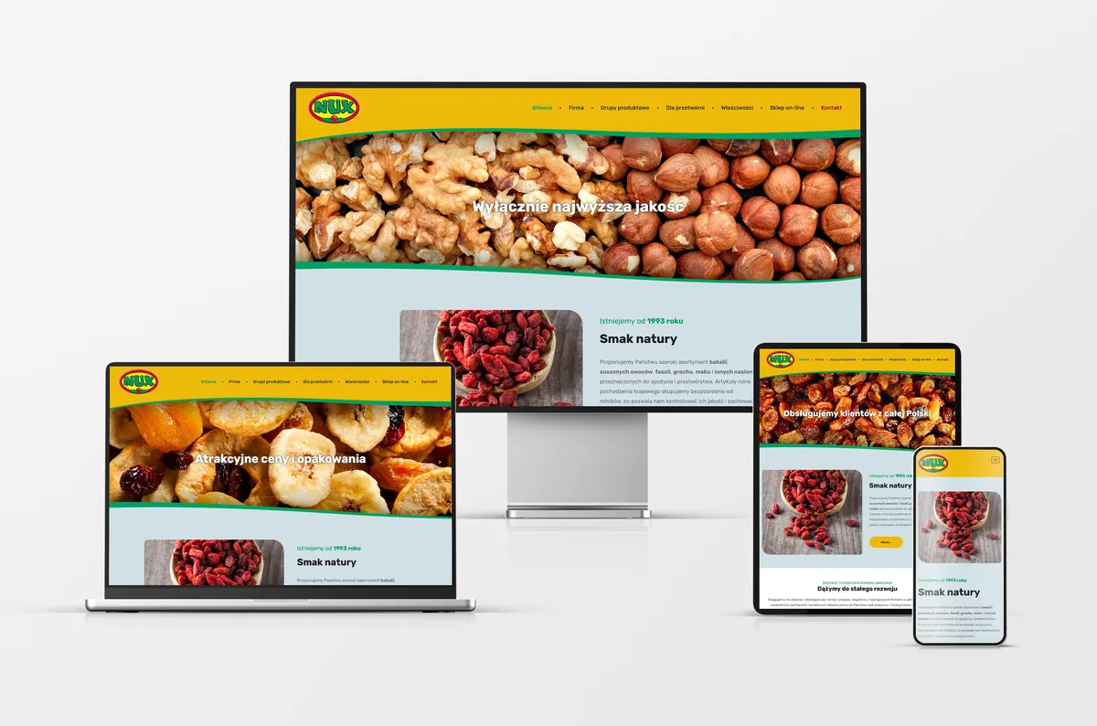 Strona internetowa dla NUX