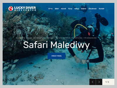 Strona internetowa: Lucky Diver